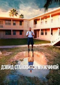 Дэвид становится мужчиной (1-2 сезон)