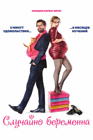 Случайно беременна (2016)