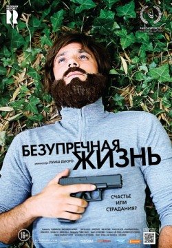 Безупречная жизнь (2018)