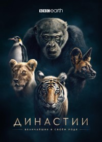 Династии (1 сезон)