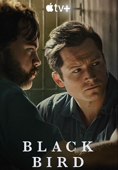 Чёрная птица (1 сезон)